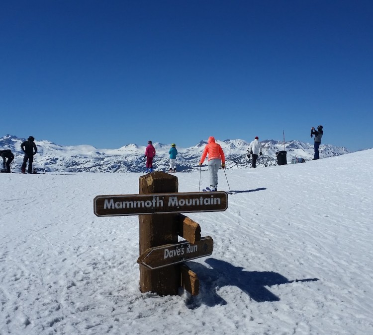 Mammoth Mountain Ski Area (Mammoth&nbspLakes,&nbspCA)